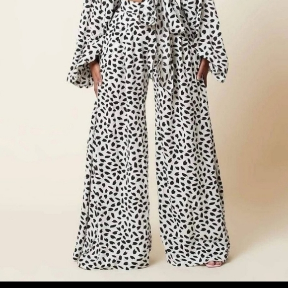 Flare Pants - Picture 1 of 4